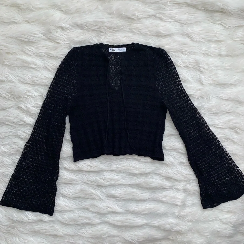 Zara | Sheer Knit Long Sleeve